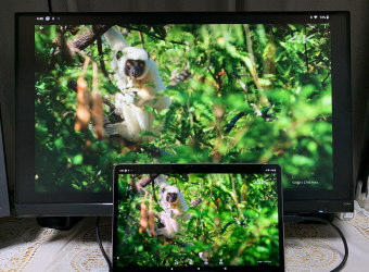 LAVIE T11(T1195/BAS) USB-Cでの映像出力