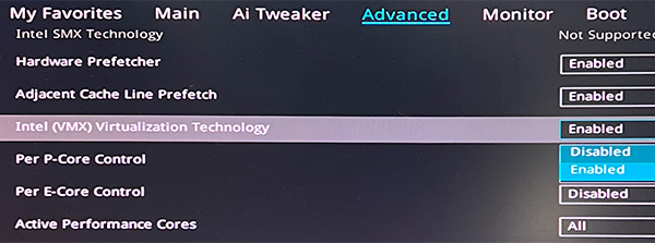 BIOS, Intel (VMX) Virtualization Technology